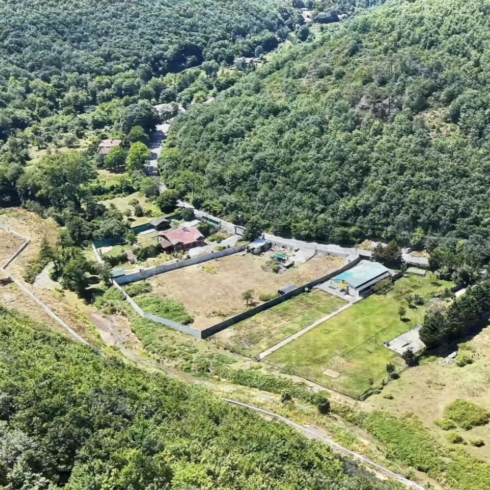Şile Satmazlı'da orman dokusuyla çevrili arsa — havadan vadi görünümü